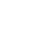 Evolution games at True Fortune Casino